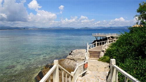 岭南缘牛奶甜品