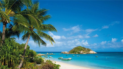 蜀江行功夫蛙麻椒鱼火锅