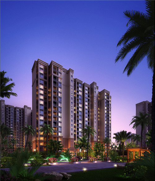 美颜素猪肚鸡汤