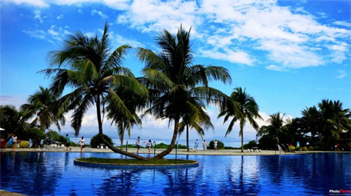 coco奶茶加盟费喜茶加盟费多少钱