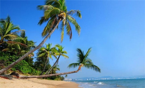 遮瑕膏加盟创业好项目推荐，遮瑕产品推荐