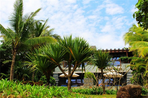 原神端游为什么有白框（原神点开始游戏后白屏）