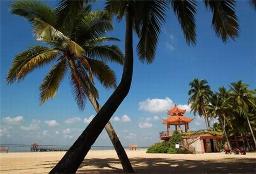 武鸣县开店2026平板玻璃品牌加盟哪些比较好，全国平板玻璃厂家多在哪里