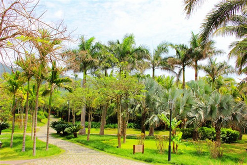 緲字组词排行榜（缈字的组词）